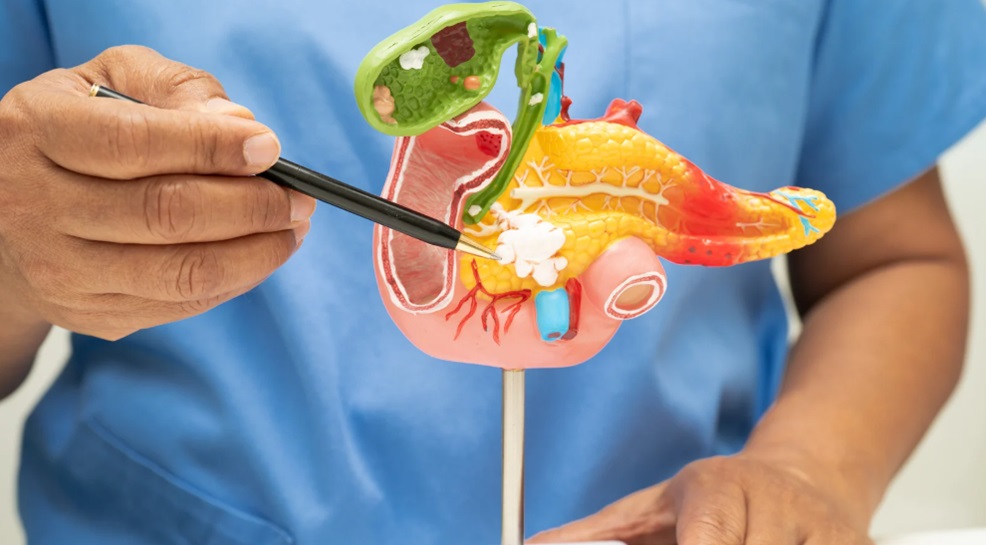 Gastrointestinal Surgeries